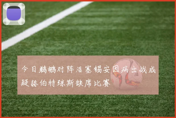 今日鹈鹕对阵活塞锡安因病出战成疑赫伯特琼斯缺席比赛