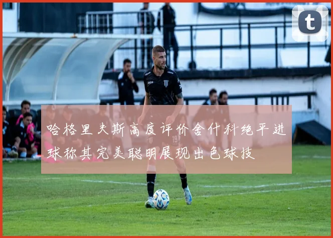 哈格里夫斯高度评价舍什科绝平进球称其完美聪明展现出色球技